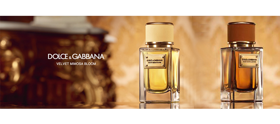 Dolce&Gabbana : Collection Velvet : Mimosa Bloom et Exotic Leather