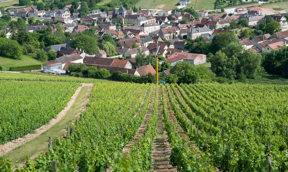 Gremillet  Le champagne de tous vos succès 2