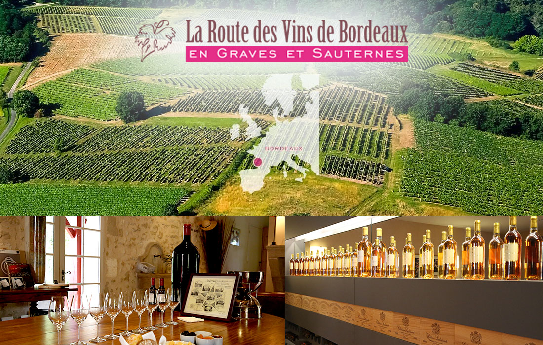 Sur la route des vins de Bordeaux, en graves et sauternes