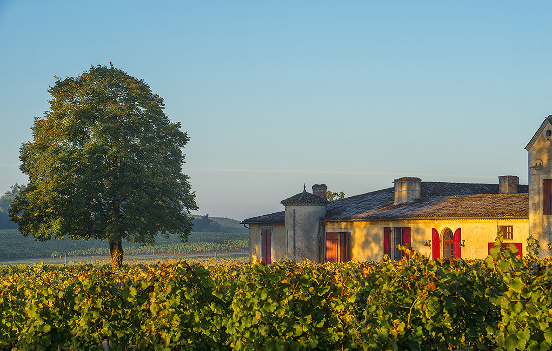 Le château Sigalas-Rabaud : Un grand Sauternes