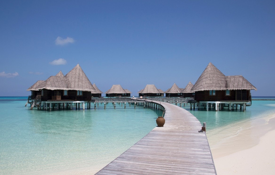 Un stage de rêve : sauver les tortues et loger dans un hôtel de luxe de Maldives gratuitement