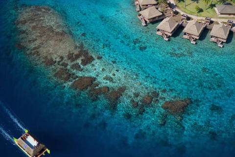 Heiva i Tahiti: Un festival polynésien haut en couleur mis à l’honneur à l’Intercontinental Tahiti Resort & Spa !