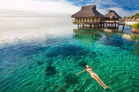 Rangiroa: La promesse d’une faune sous marine fascinante