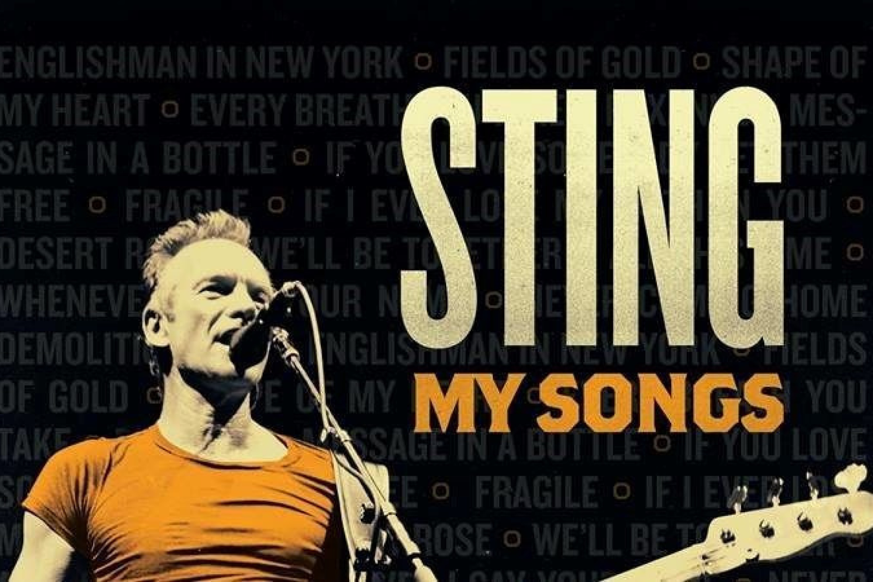 Sting affiche arena concert