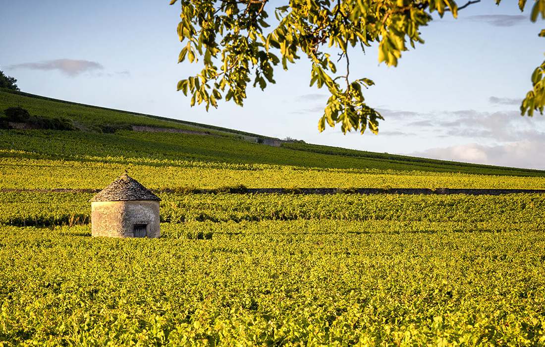 De la Bourgogne à la Provence – Saveurs, Senteurs et Œnologie