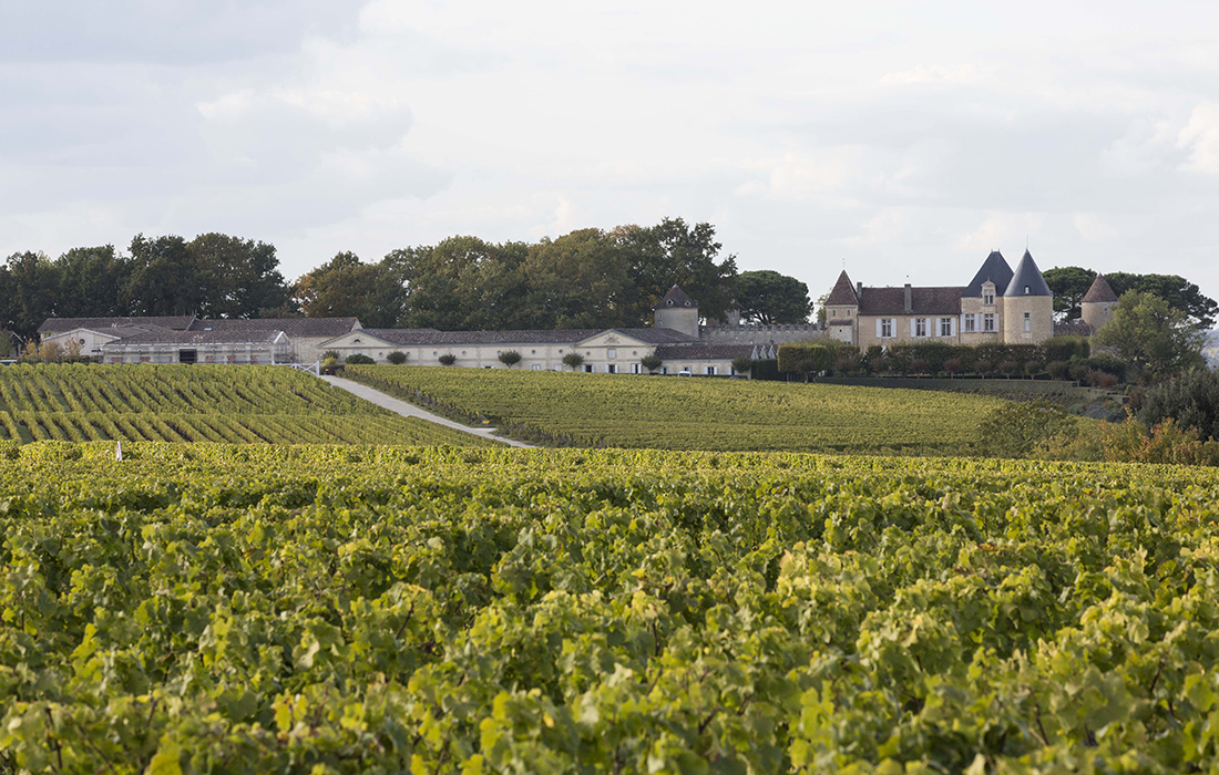 Château d’Yquem – L’Excellence à l’état pur