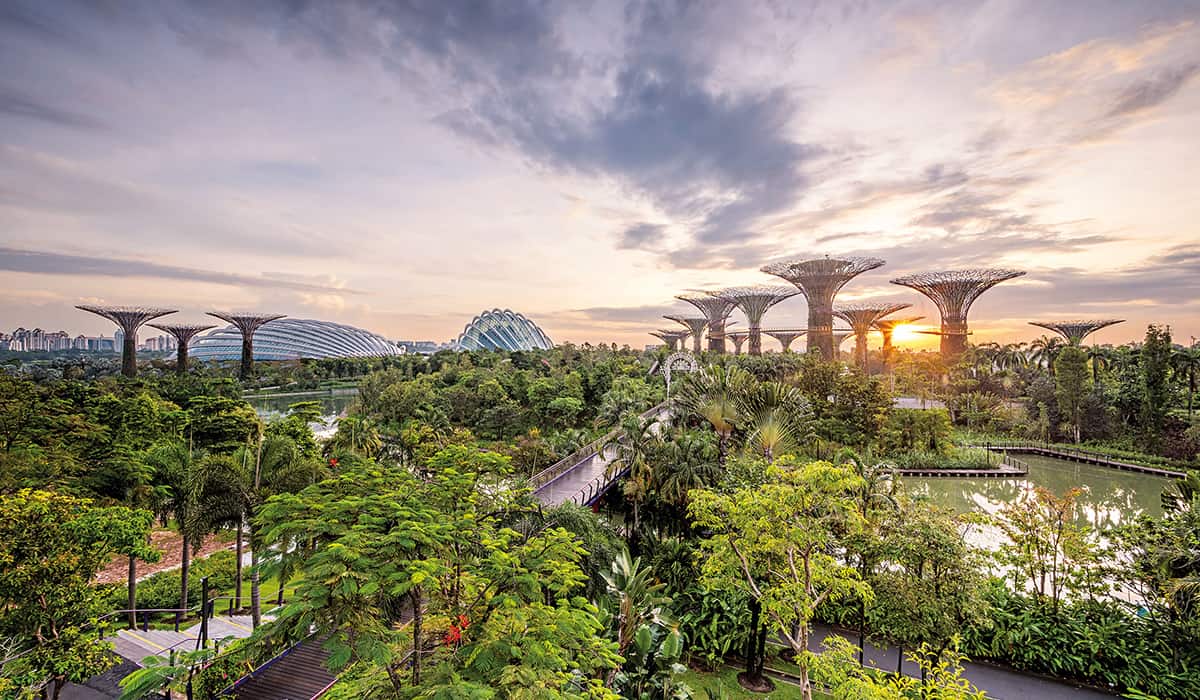 Singapour, l’avenir est en vert