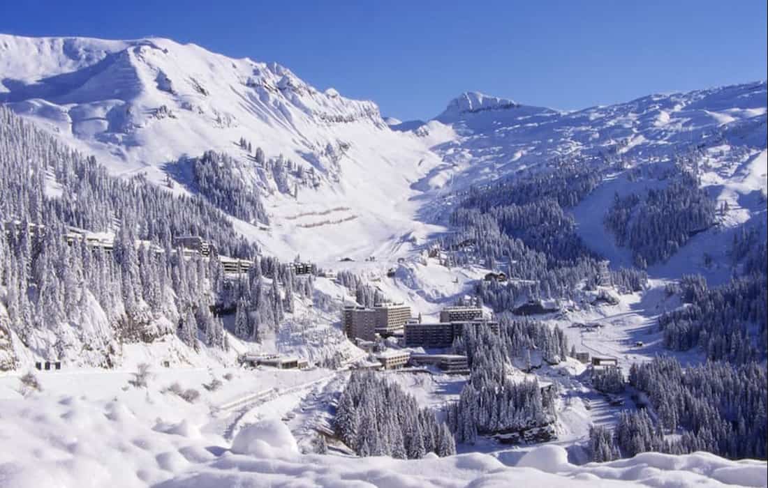 RockyPop, Ours Blanc et Marielle, la saison hivernale va bientôt commencer