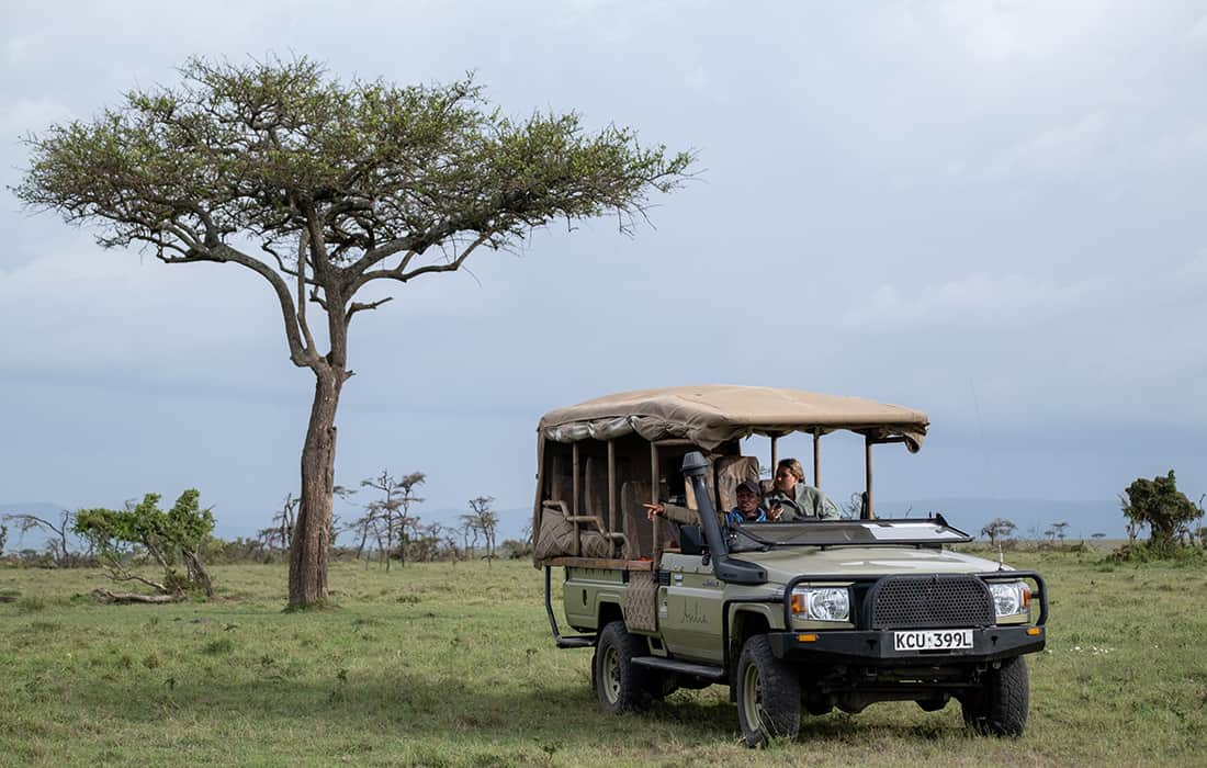 Le Naboisho Camp au Kenya : le luxe ultime pour les amoureux de la vie sauvage.