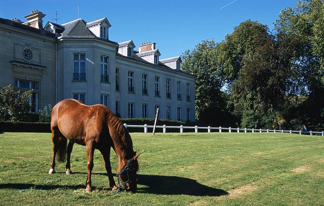 Le Château de Maffliers, le domaine de la gastronomie et du cheval