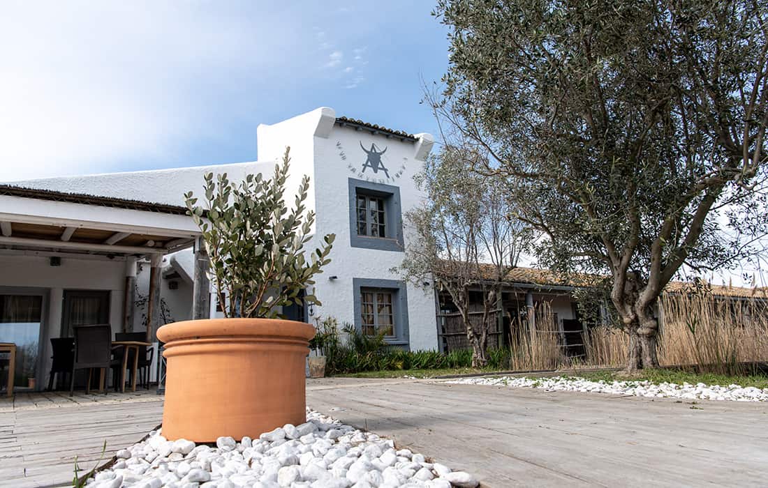 Les Arnelles, en Camargue : un hôtel en harmonie avec la nature