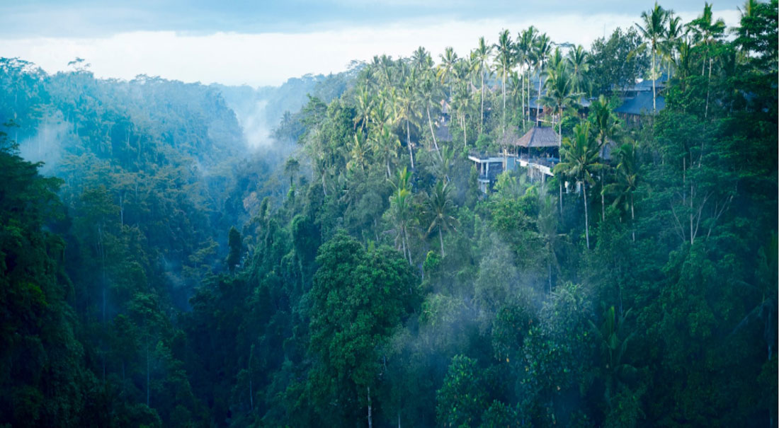 Hoshinoya Bali, sublimes relaxations en plein cœur de la spiritualité et de la jungle balinaise