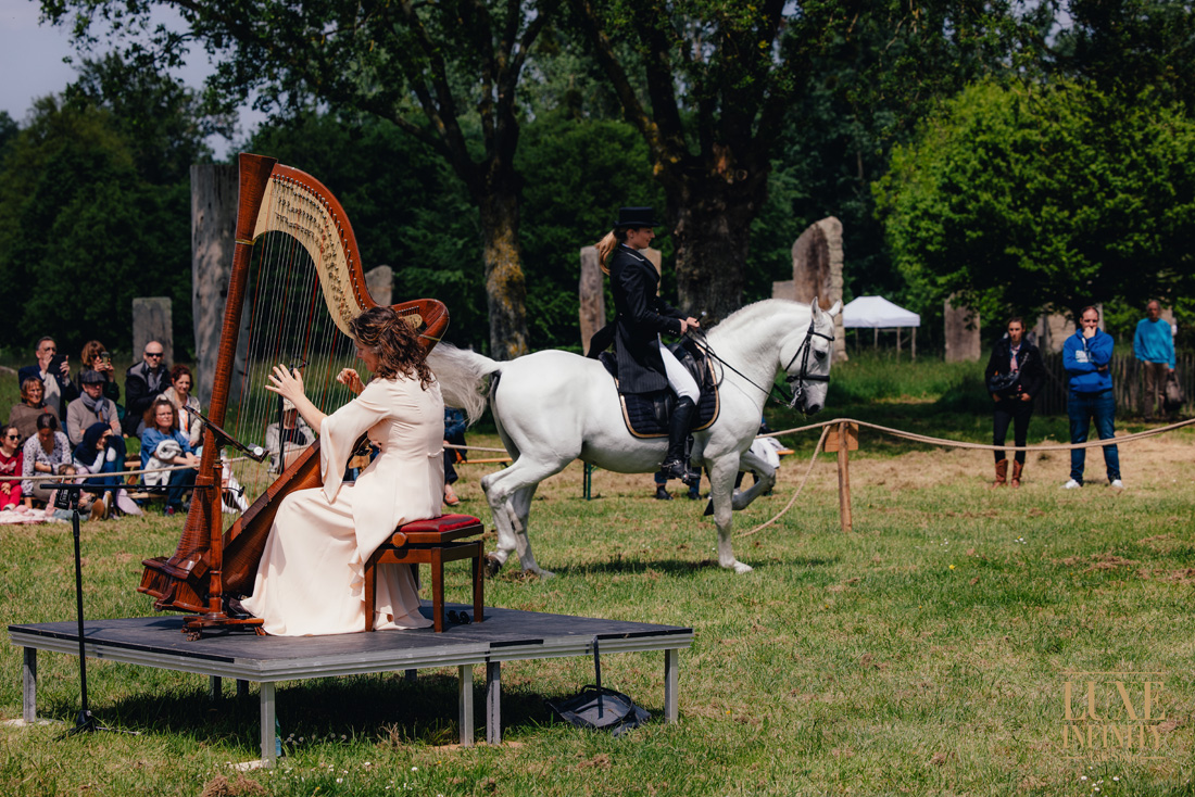Le Festival Harpes au Max met à l’unisson cheval et harpe