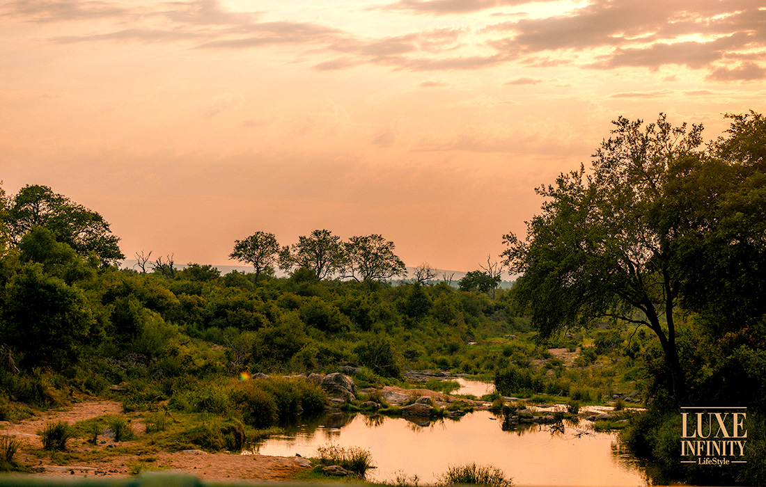 Le parc Kruger, un joyau de la biodiversité en Afrique du Sud