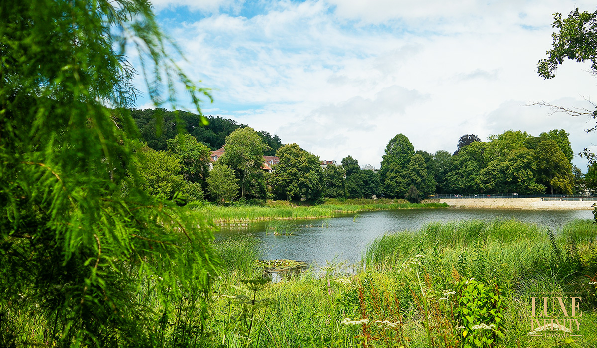 Les Etangs de Corot, une échapée bucolique