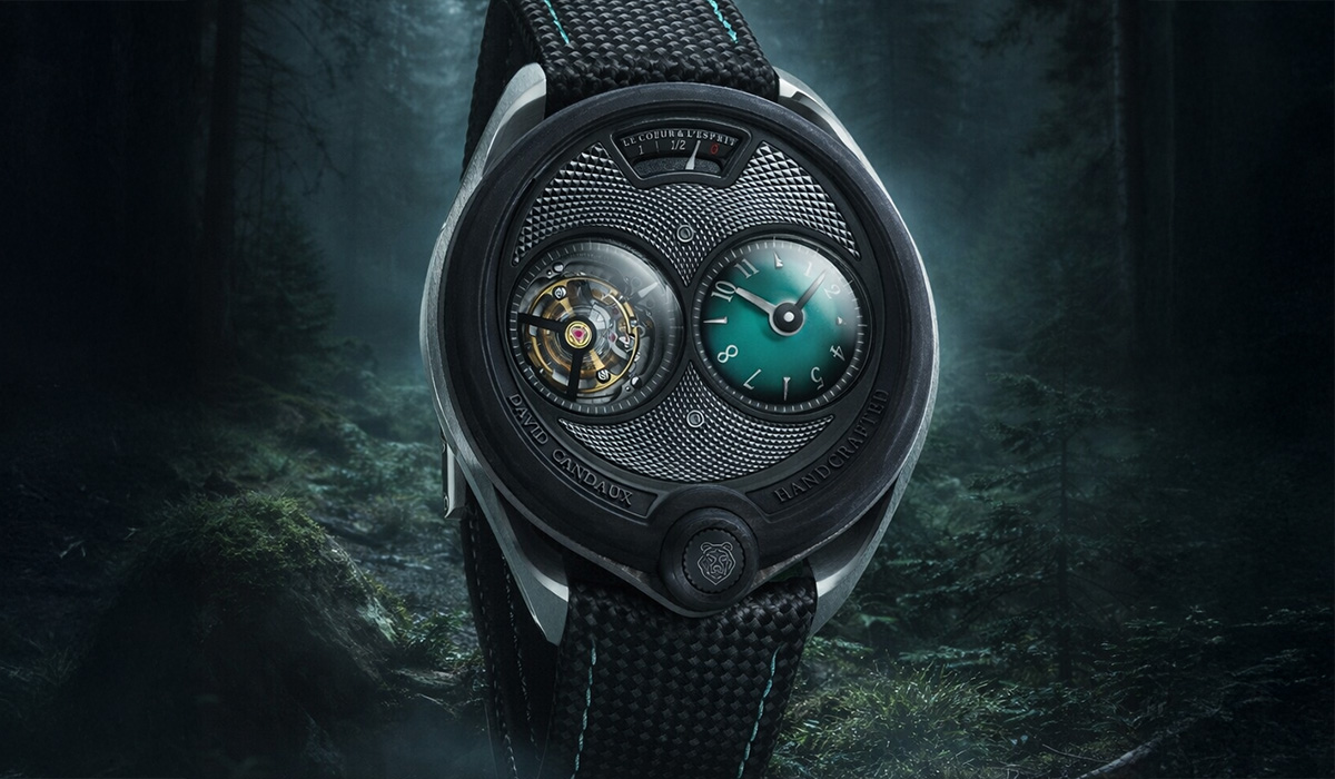 DC6 Night Forest, entre carbone et nature